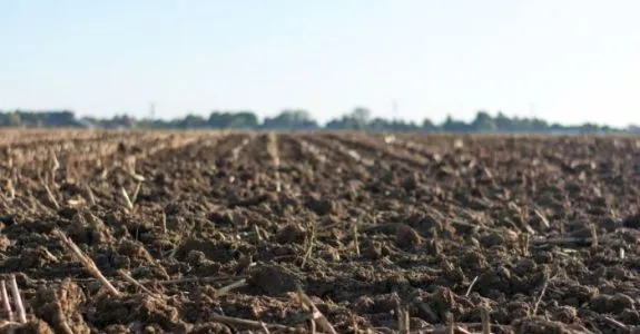 Comment trouver le bon terrain en Charente Maritime