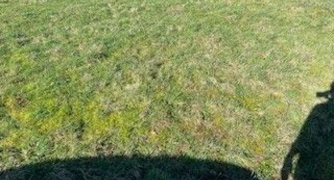 image Terrain à bâtir de 340 m² à VANNES (56)