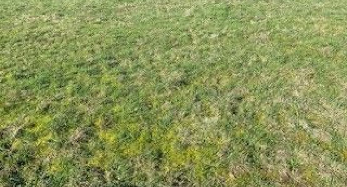 image Terrain à bâtir de 202 m² à VANNES (56)