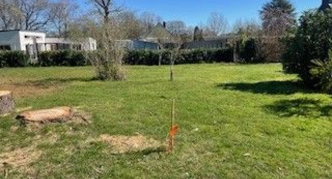 image Maison 74 m² avec terrain à LOCQUELTAS (56)