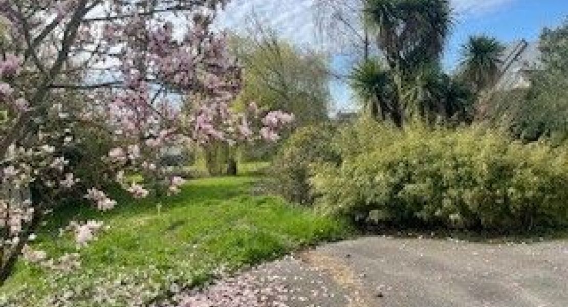 image Maison 102 m² avec terrain à MUZILLAC (56)