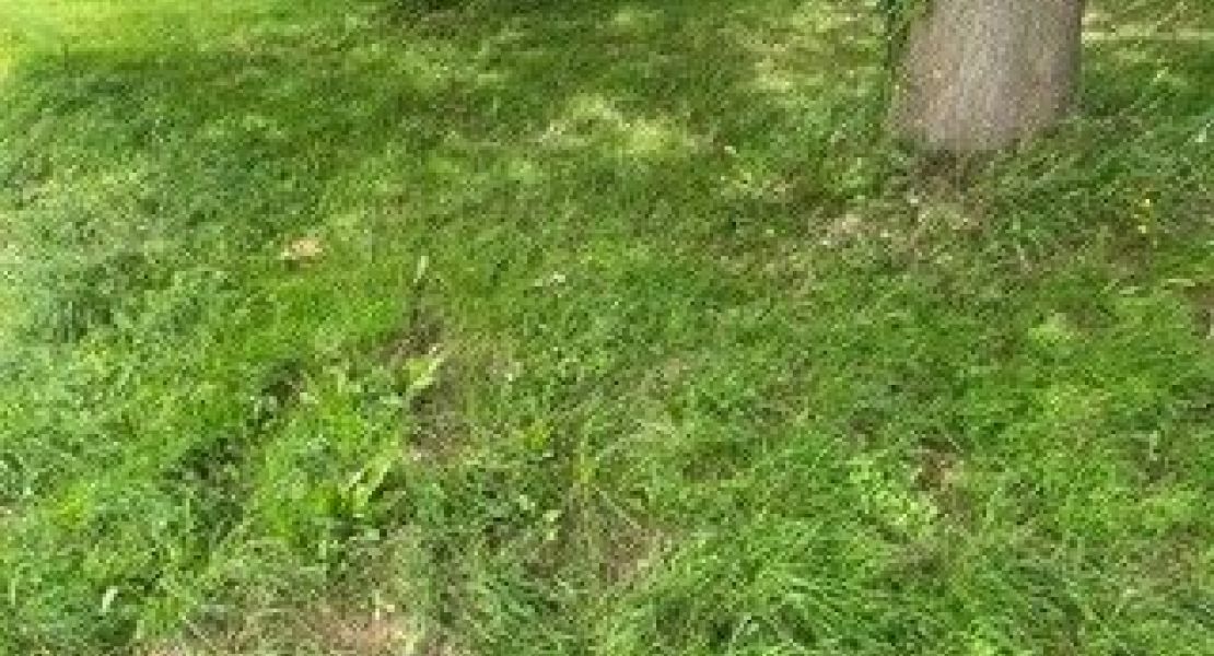image Terrain à bâtir de 475 m² à MUZILLAC (56)