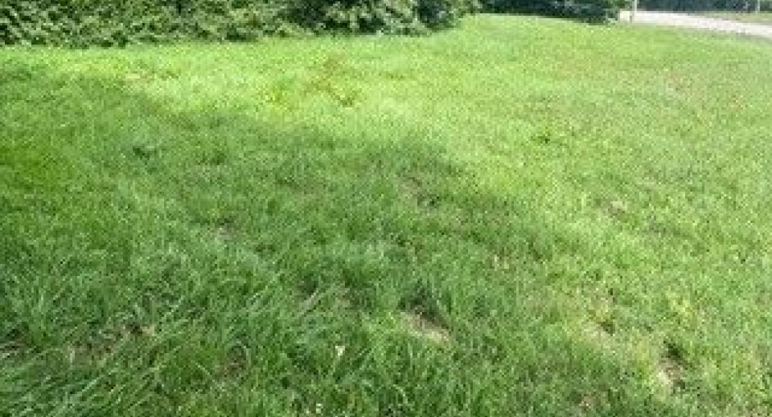 image Terrain à bâtir de 475 m² à MUZILLAC (56)