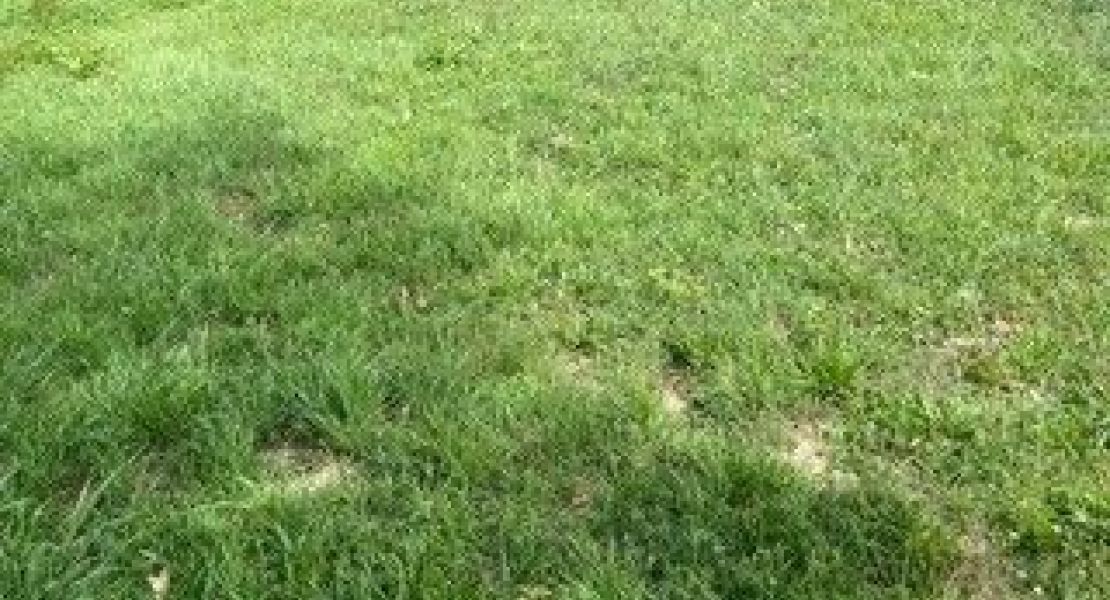 image Terrain à bâtir de 475 m² à MUZILLAC (56)