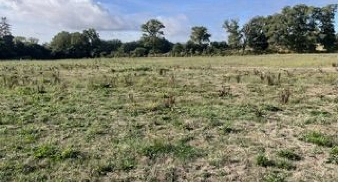 image Maison 94.75 m² avec terrain à LANDEVANT (56)