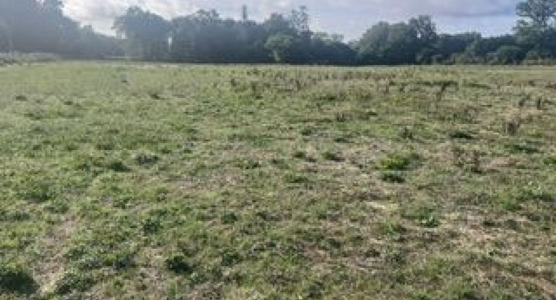 image Maison 80.88 m² avec terrain à RIANTEC (56)