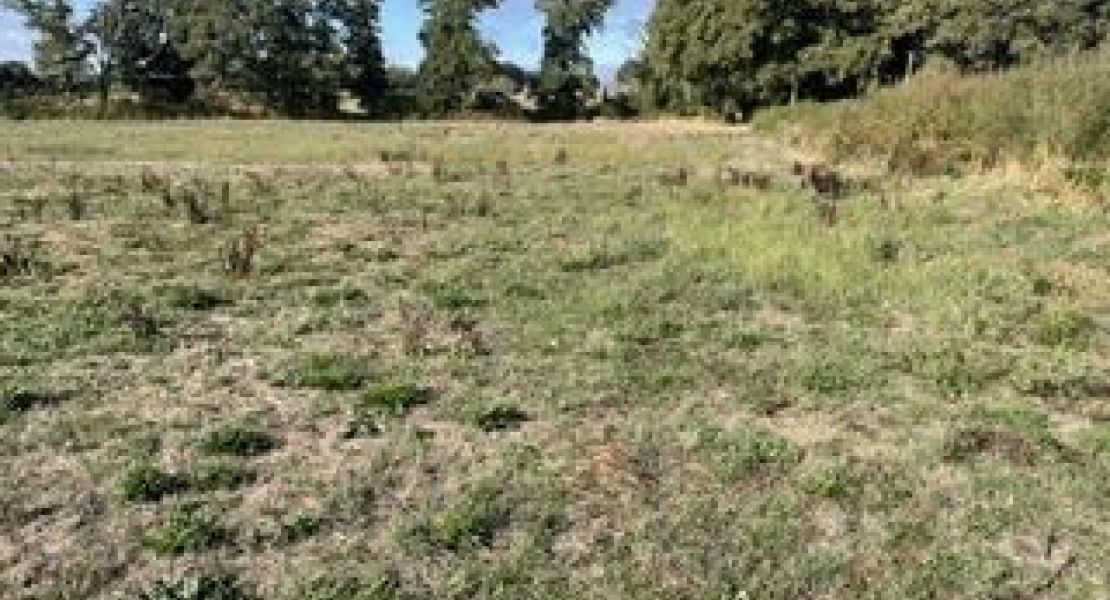 image Maison 80.88 m² avec terrain à RIANTEC (56)
