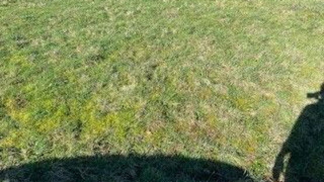 image Terrain à bâtir de 357 m² à BELZ (56)