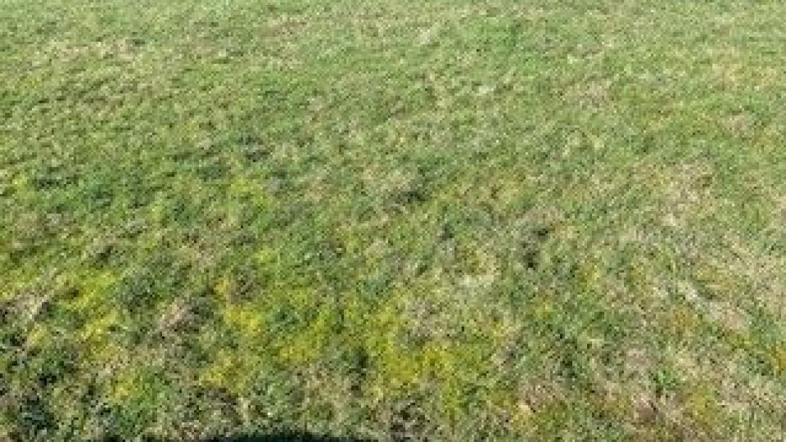 image Terrain à bâtir de 427 m² à LOCQUELTAS (56)