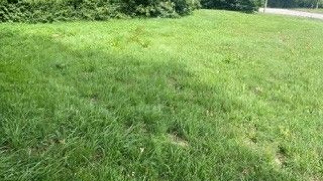 image Terrain à bâtir de 475 m² à MUZILLAC (56)