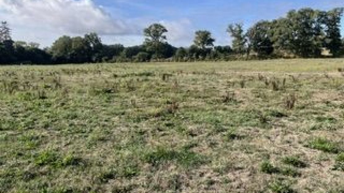 image Terrain à bâtir de 373 m² à SAINTE-HELENE (56)
