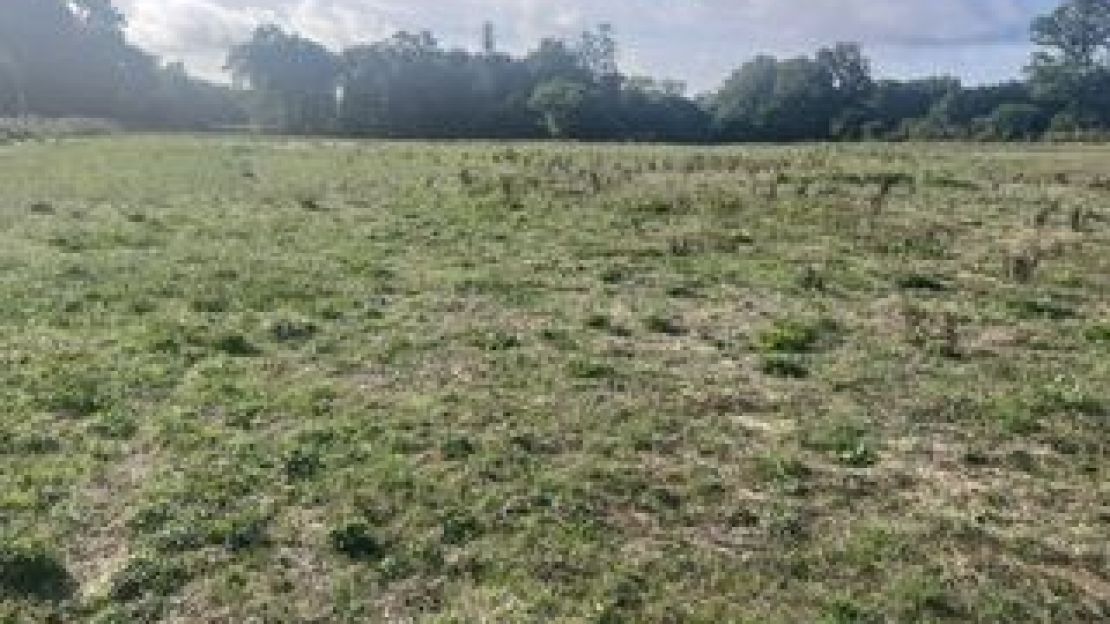 image Terrain à bâtir de 373 m² à SAINTE-HELENE (56)