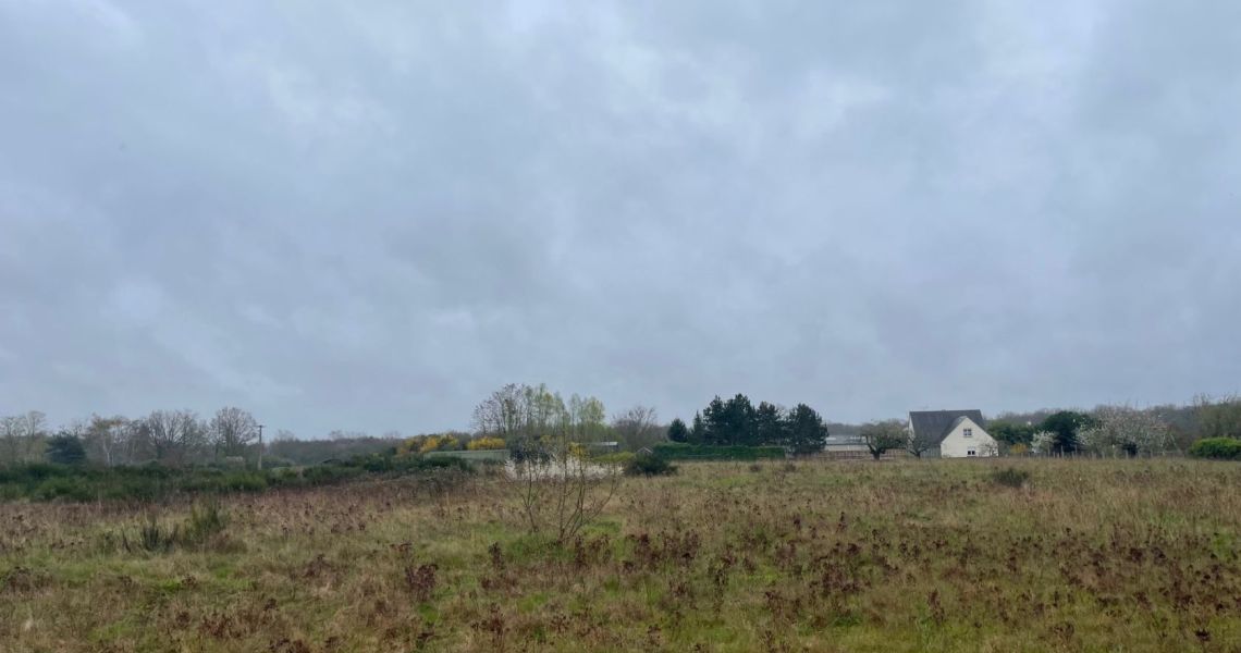 image Projet de construction d'une maison 100.22 m² avec terrain à MEZIERES-LEZ-CLERY (45)