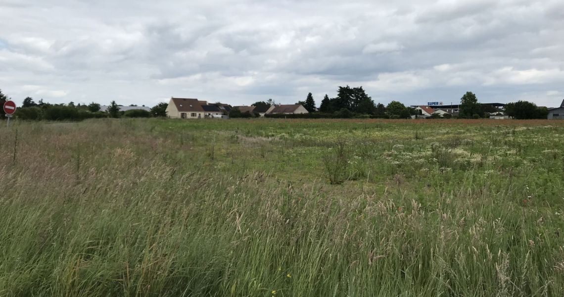 image Projet de construction d'une maison 100.83 m² avec terrain à SAINT-PERE-SUR-LOIRE (45)