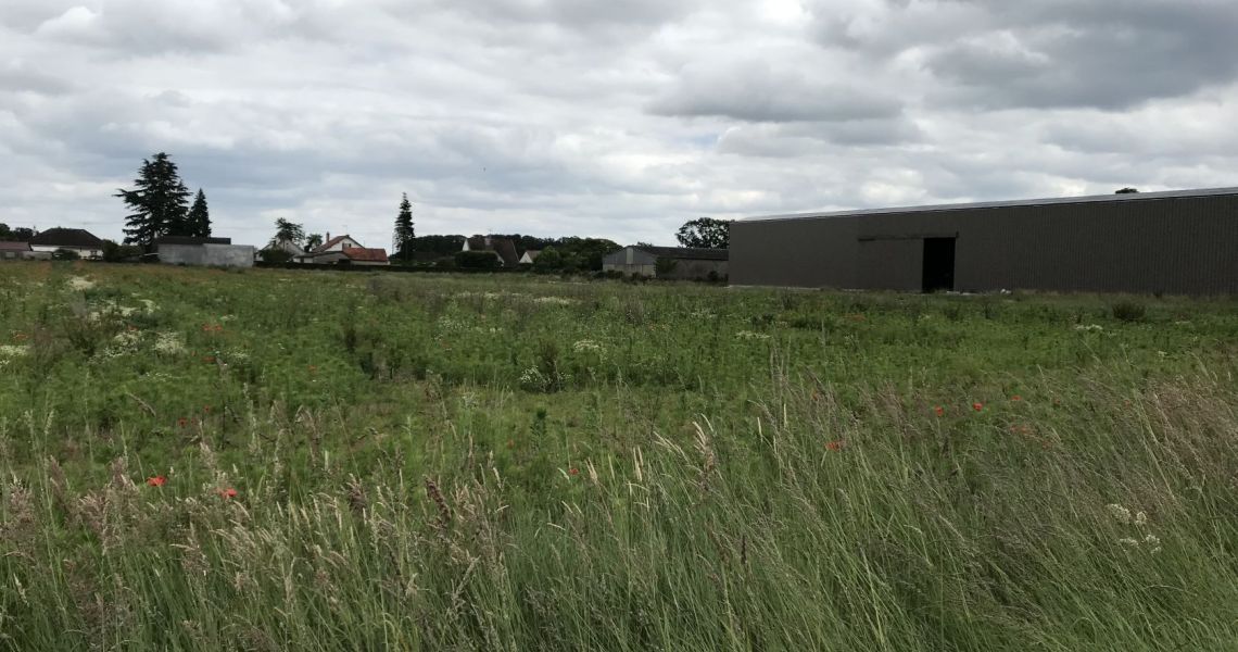 image Terrain à bâtir de 605 m² à SAINT-PERE-SUR-LOIRE (45)