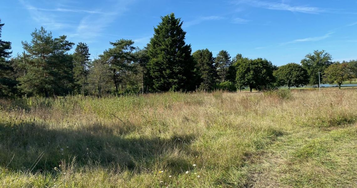 image Projet de construction d'une maison 130.15 m² avec terrain à MENESTREAU-EN-VILLETTE (45)