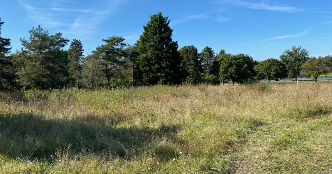 image Terrain à bâtir de 504 m² à MENESTREAU-EN-VILLETTE (45)