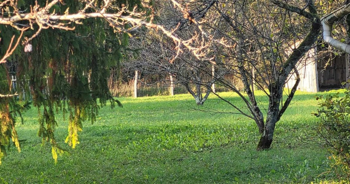 image Projet de construction d'une maison 100 m² avec terrain à DONNEMARIE-DONTILLY (77)