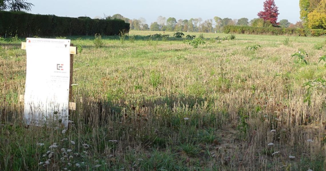 image Projet de construction d'une maison 100.83 m² avec terrain à MORMANT (77)