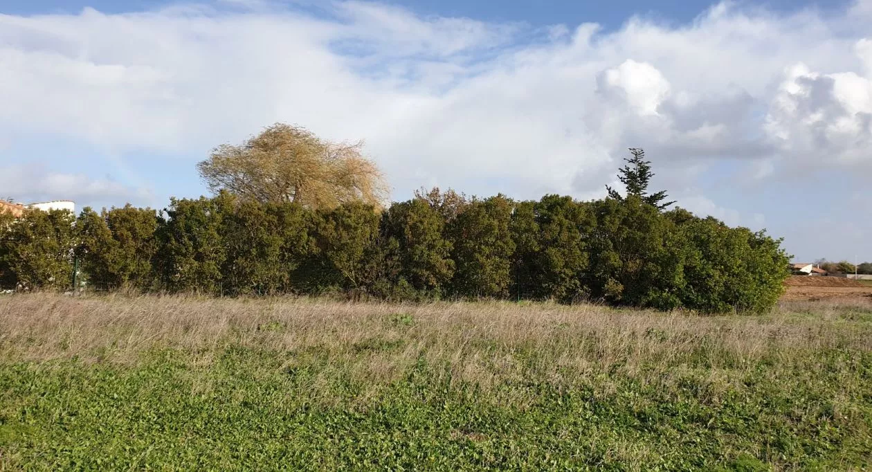 Image 3 Projet de construction d'une maison 140 m² avec terrain à ANDILLY (17)