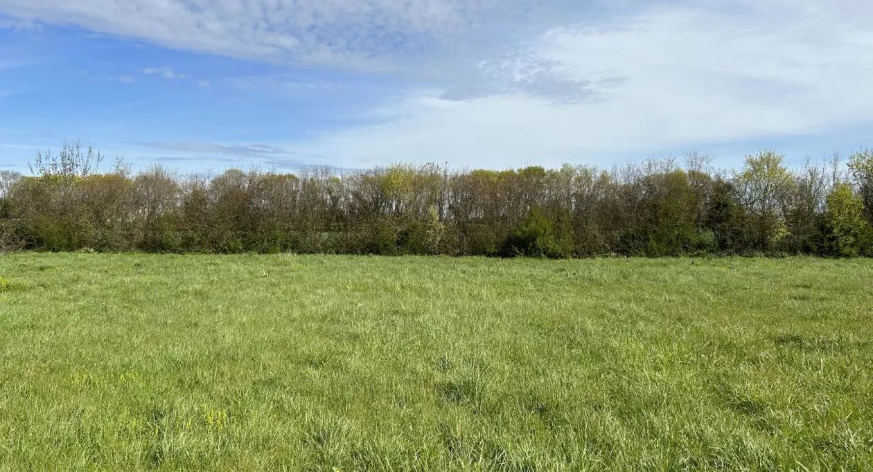 Image 6 Projet de construction d'une maison 100 m² avec terrain à SAINT-LAURENT-DE-LA-PREE (17)