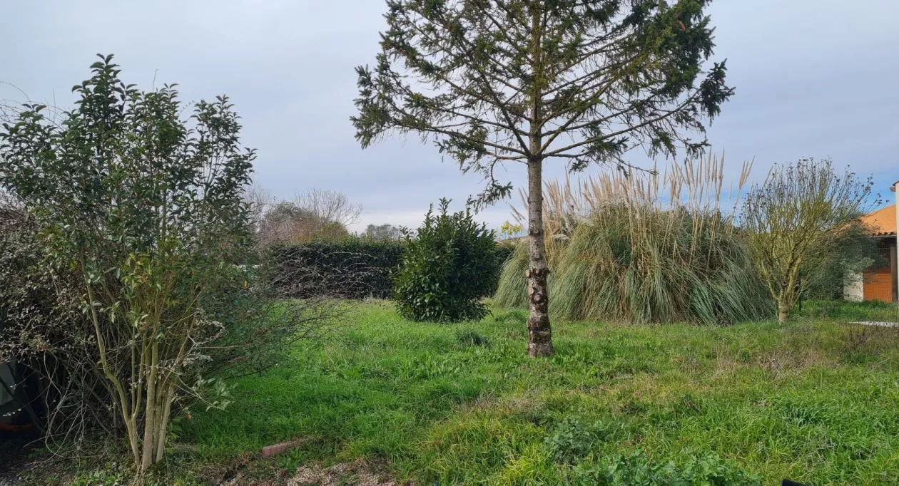 Image 6 Projet de construction d'une maison 100 m² avec terrain à SAINT-ROGATIEN (17)