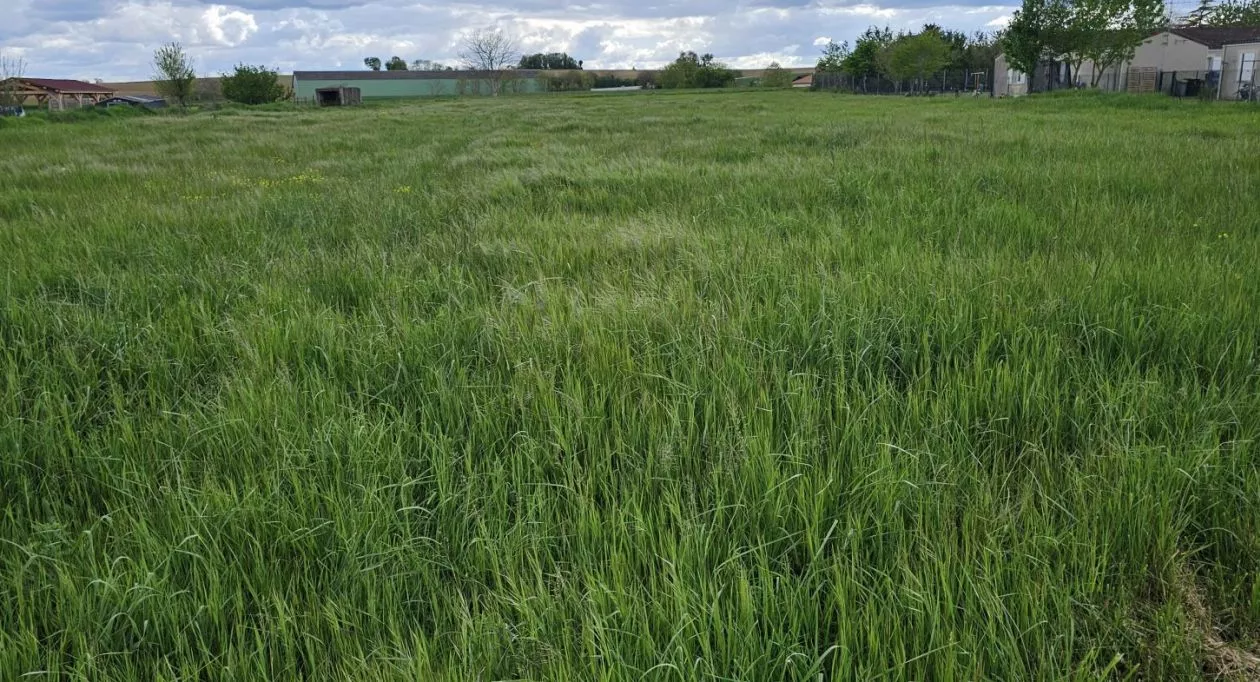 Image 1 Terrain à bâtir de 1513 m² à VILLOGNON (16)