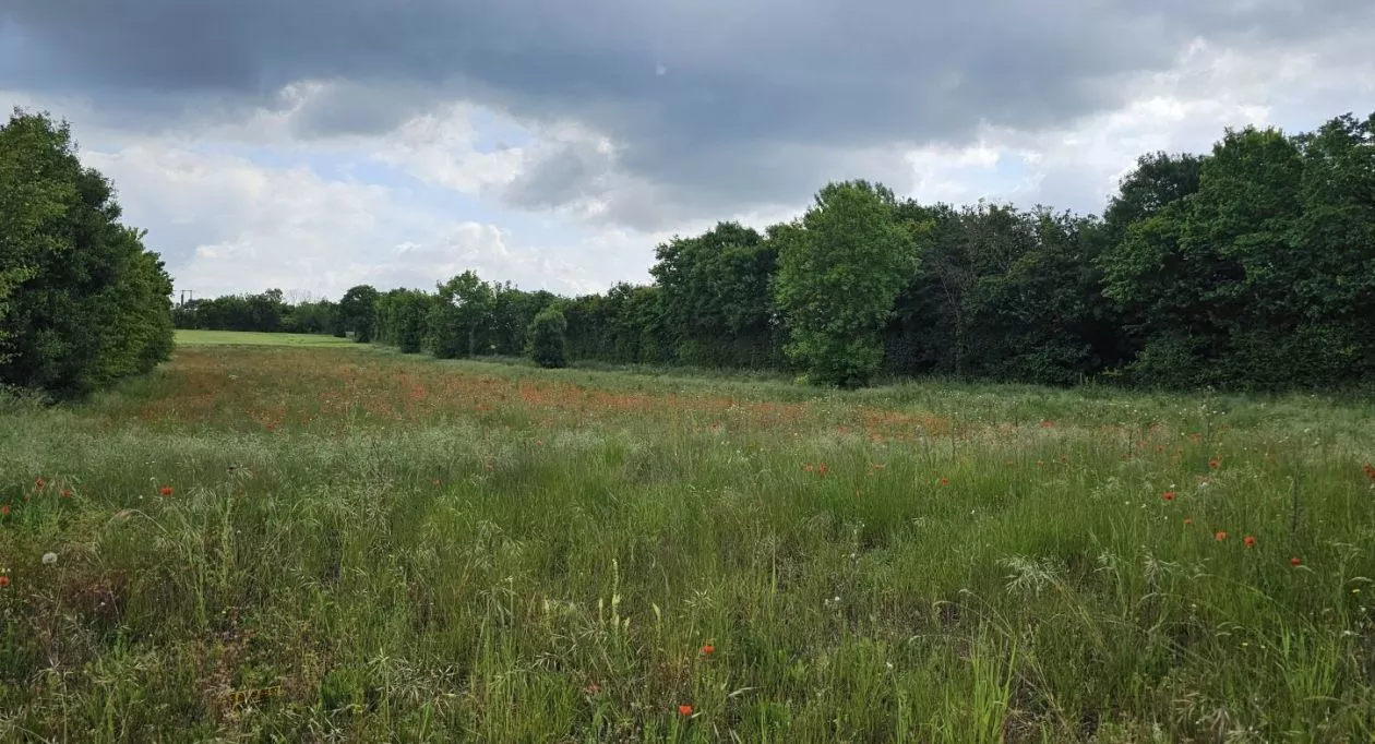 Image 5 Projet de construction d'une maison 100 m² avec terrain à GOND-PONTOUVRE (16)