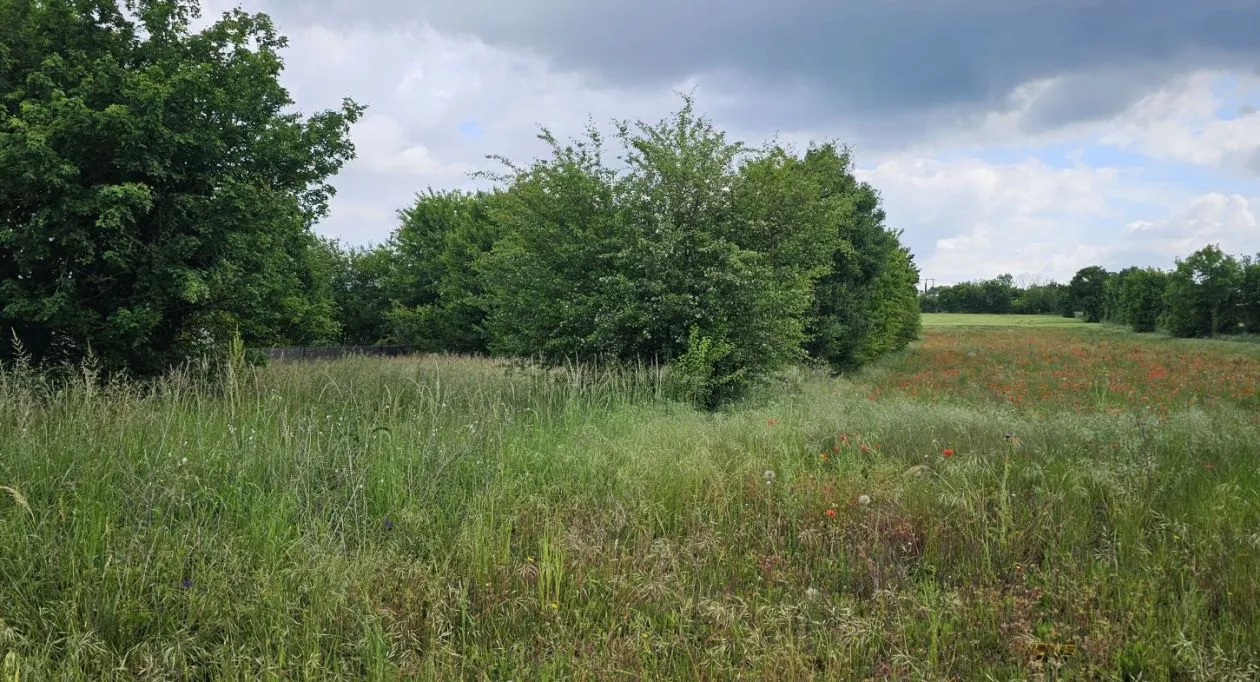 Image 6 Projet de construction d'une maison 100 m² avec terrain à GOND-PONTOUVRE (16)