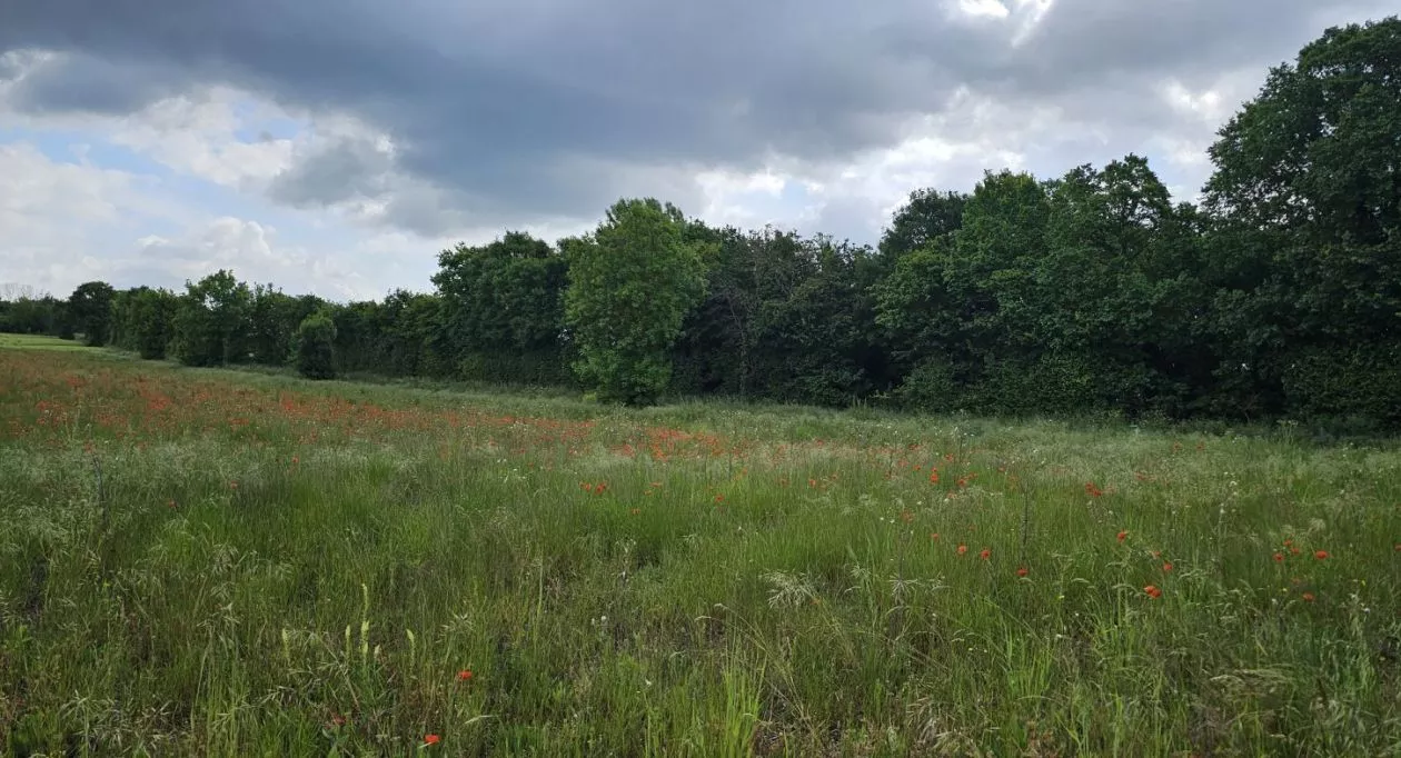 Image 1 Terrain à bâtir de 395 m² à GOND-PONTOUVRE (16)