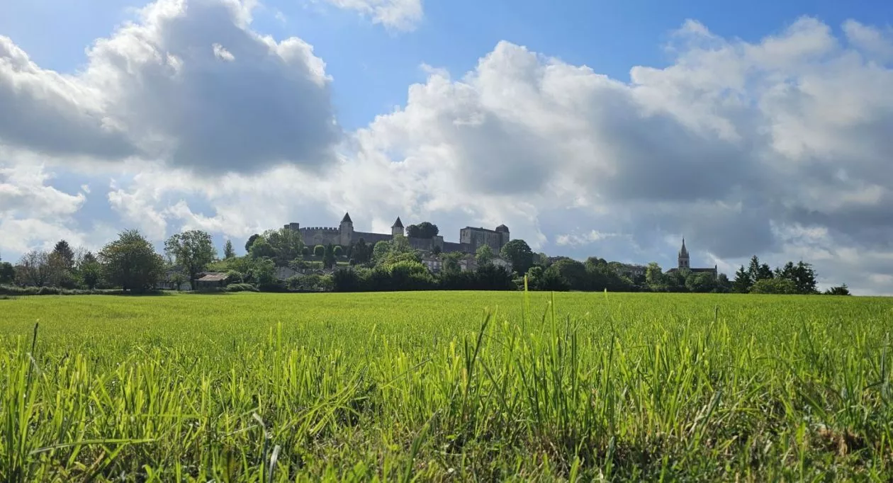 Image 1 Terrain à bâtir de 2567 m² à VILLEBOIS-LAVALETTE (16)