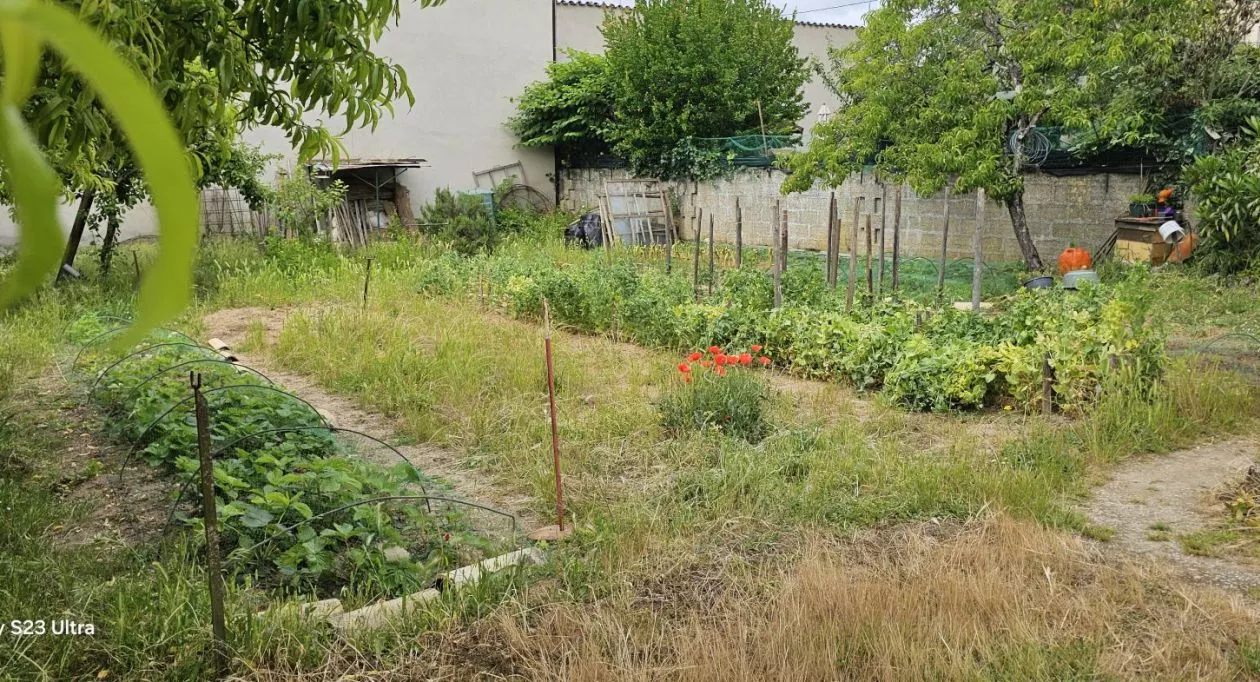 Image 6 Projet de construction d'une maison 65 m² avec terrain à ANGOULEME (16)