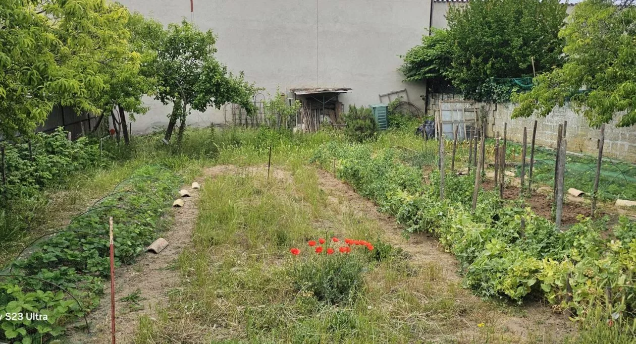 Image 7 Projet de construction d'une maison 65 m² avec terrain à ANGOULEME (16)