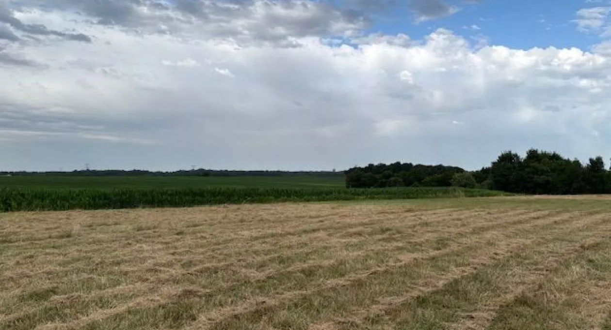 Image 2 Terrain à bâtir de 734 m² à VILLARS-EN-PONS (17)