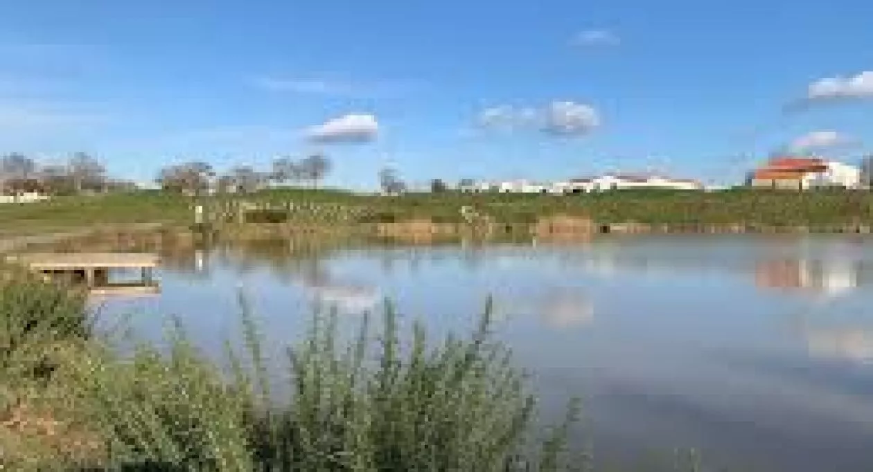 Image 4 Projet de construction d'une maison 70 m² avec terrain à SAINTE-FOY (85)