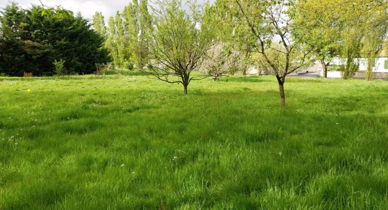 Image 6 Projet de construction d'une maison 97 m² avec terrain à AIZENAY (85)