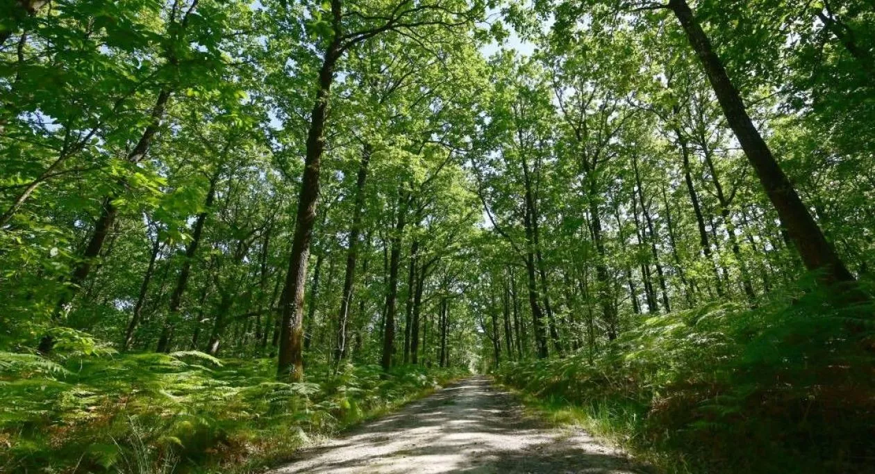 Image 7 Projet de construction d'une maison 97 m² avec terrain à AIZENAY (85)