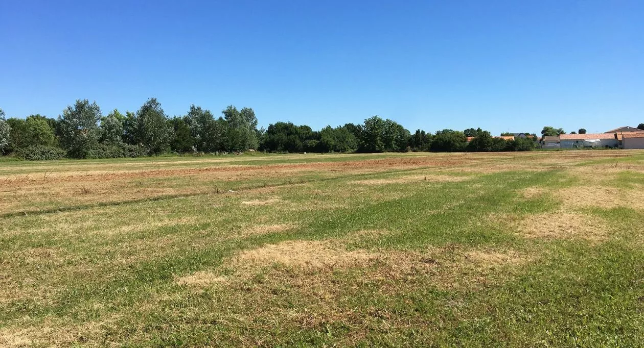 Image 5 Projet de construction d'une maison 70 m² avec terrain à GRUES (85)