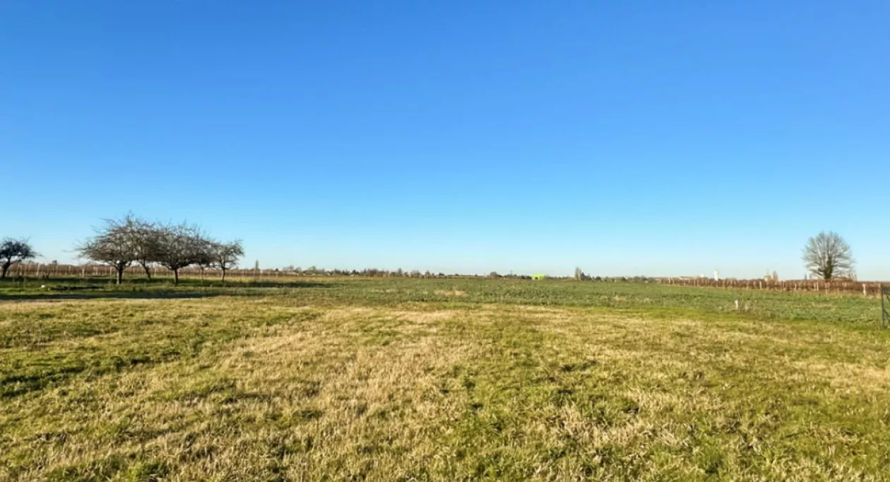 Image 7 Projet de construction d'une maison 80 m² avec terrain à GEMOZAC (17)