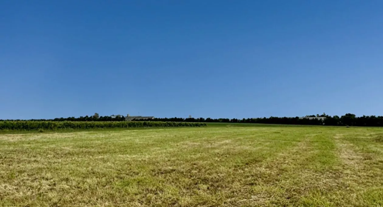 Image 2 Terrain à bâtir de 3407 m² à GEMOZAC (17)