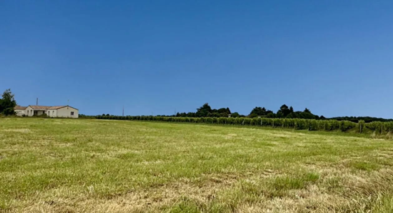 Image 3 Terrain à bâtir de 3407 m² à GEMOZAC (17)