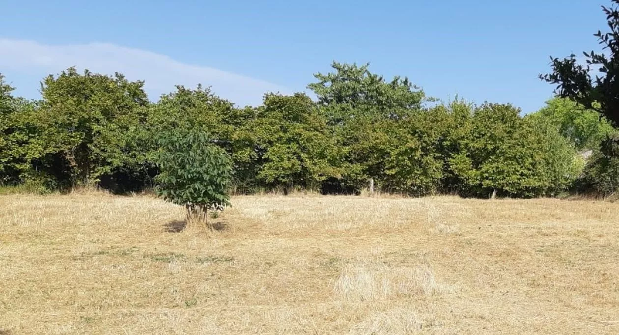 Image 6 Projet de construction d'une maison 60 m² avec terrain à MATHA (17)