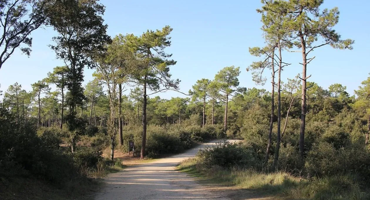 Image 6 Projet de construction d'une maison 60 m² avec terrain à CHATEAU-D'OLONNE (85)