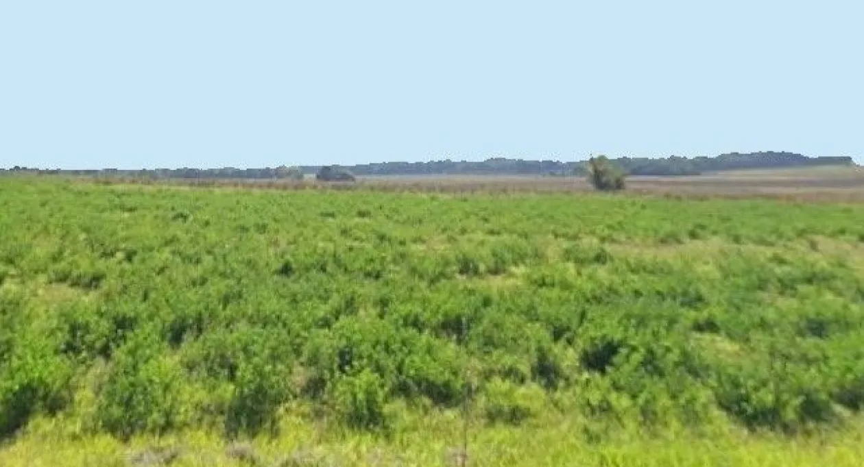 Image 1 Terrain à bâtir de 1450 m² à JUICQ (17)