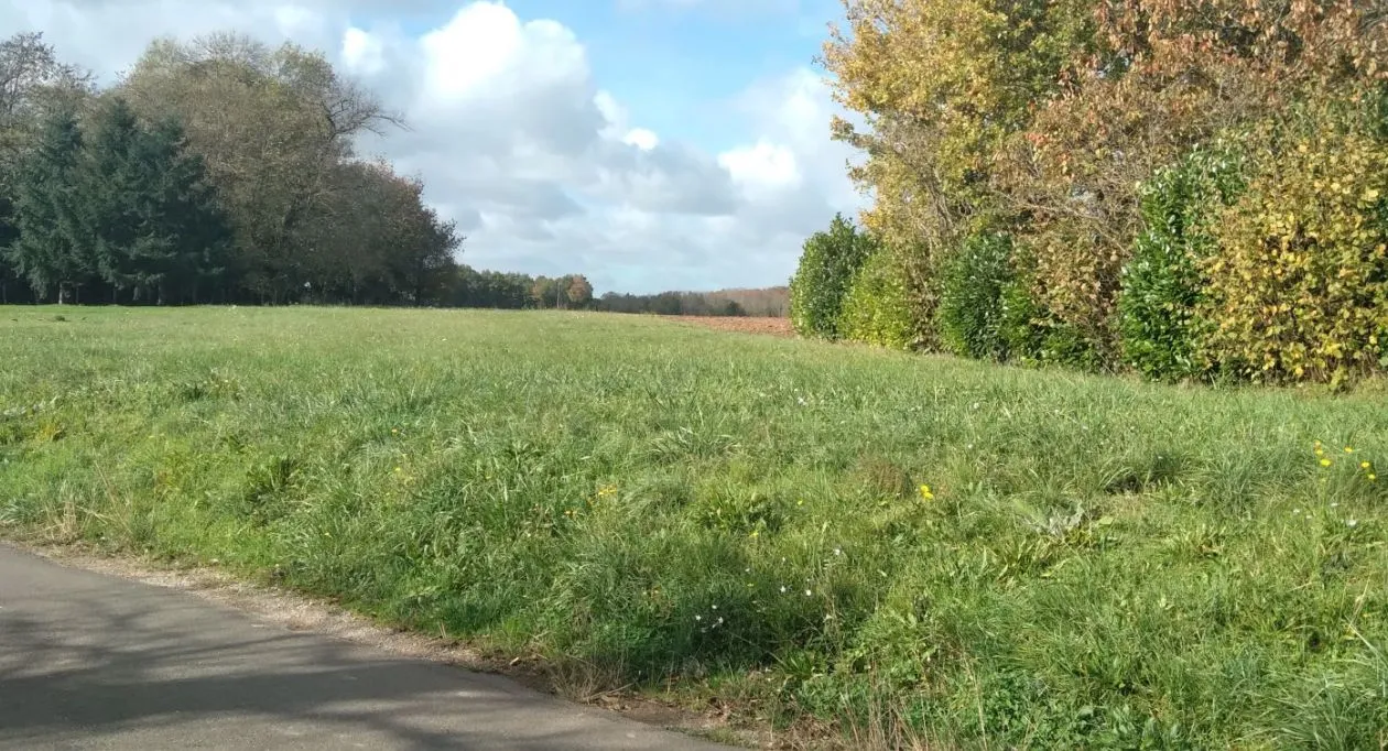 Image 7 Projet de construction d'une maison 85 m² avec terrain à SAINT-SORNIN (16)