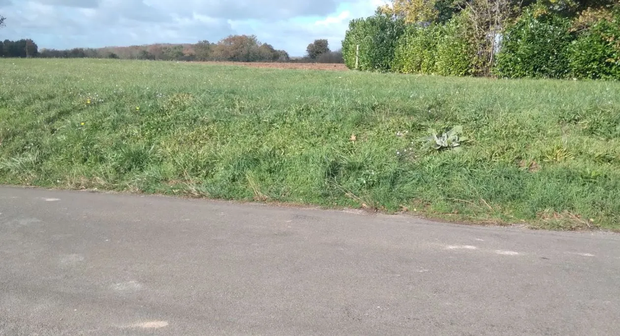 Image 8 Projet de construction d'une maison 85 m² avec terrain à SAINT-SORNIN (16)