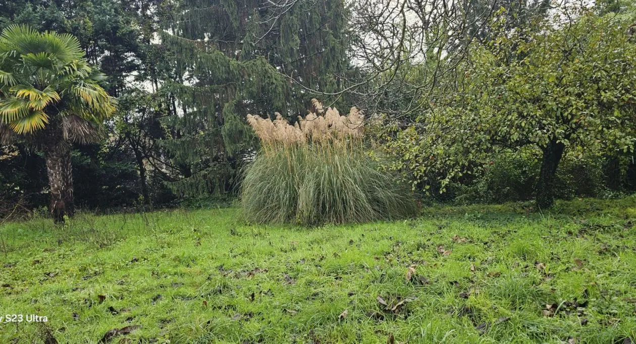 Image 5 Projet de construction d'une maison 108 m² avec terrain à ANGOULEME (16)