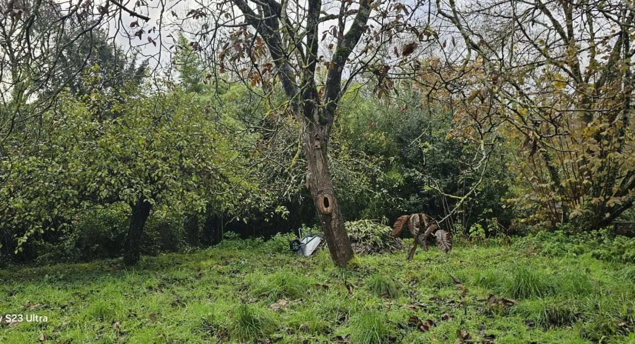 Image 6 Projet de construction d'une maison 108 m² avec terrain à ANGOULEME (16)
