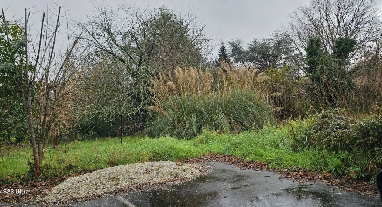 Image 4 Projet de construction d'une maison 170 m² avec terrain à SAINT-YRIEIX-SUR-CHARENTE (16)