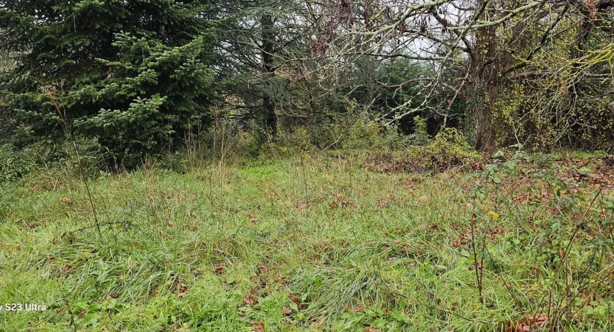 Image 5 Projet de construction d'une maison 170 m² avec terrain à SAINT-YRIEIX-SUR-CHARENTE (16)